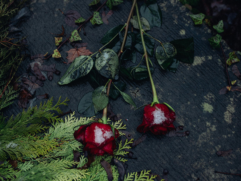 A Reflection on Prokofiev’s Romeo and Juliet AFCM 2025